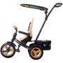 Велосипед трехколесный с ручкой RT Icon evoque NEW Stroller by Natali Prigaro EVA Gold (золотой)